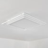 Haumonia Plafoniera LED Bianco, 2-Luci, Telecomando, Cambia colore