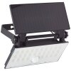 Brilliant Luton Applique da esterno LED Nero, 1-Luce, Sensori di movimento