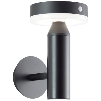 Brilliant Magua Applique da esterno LED Nero, 1-Luce