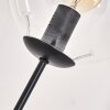 Gastor Lampada da terra - Vetro 15 cm Chiaro, 3-Luci