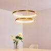 Canisteo Lampadario a sospensione LED Oro, 2-Luci