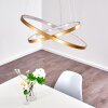 Canisteo Lampadario a sospensione LED Oro, 2-Luci