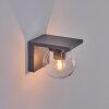 Aquin Applique da esterno Antracite, 1-Luce