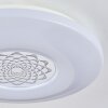 Kaas Plafoniera LED Cromo, Bianco, 1-Luce