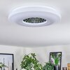 Kaas Plafoniera LED Cromo, Bianco, 1-Luce