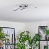 Biskopstorp Plafoniera LED Cromo, 1-Luce