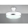 Reality LINDBERG ventilatore da soffitto LED Titanio, 1-Luce, Telecomando