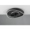 Reality SORTLAND ventilatore da soffitto LED Nero, 1-Luce, Telecomando