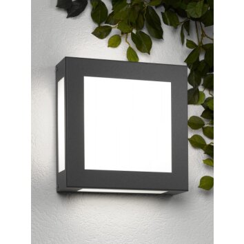 CMD Aqua Legendo Applique Antracite, 1-Luce