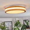 Sofo Plafoniera LED Bianco, 1-Luce