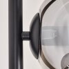 Gastor Lampada da terra 33 cm Nero, 5-Luci