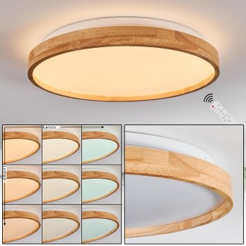 Sofo Plafoniera LED Bianco, 1-Luce, Telecomando Sofo Plafoniera LED Bianco, 1-Luce, Telecomando