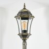 Etoe Lampione multibraccia, Illuminazione viale Oro, Nero, 1-Luce