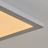 Colminy Plafoniera LED Argento, 1-Luce