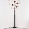 Koyoto Lampada da terra Chiaro, Ramato, 5-Luci