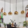 Ripoll Lampada a sospensione Oro, Chiaro, 4-Luci