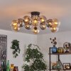 Gastor Plafoniera 91 cm Ambrato, Chiaro, Grigio fumo, 12-Luci Gastor Plafoniera 91 cm Ambrato, Chiaro, Grigio fumo, 12-Luci