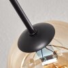 Gastor Plafoniera 74 cm Ambrato, 6-Luci
