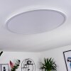 Sani Plafoniera LED Bianco, 1-Luce, Telecomando