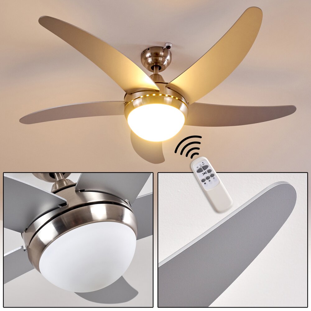 Ventilatori a soffitto Morino Nichel opaco, Argento, 2-Luci, Telecomando main product photo
