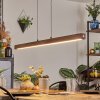 Carbellino Lampada a sospensione LED Bianco, 1-Luce