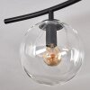Gastor Plafoniera, Lampada a sfera Ambrato, Chiaro, Grigio fumo, 6-Luci Gastor Plafoniera, Lampada a sfera Ambrato, Chiaro, Grigio fumo, 6-Luci