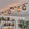 Gastor Plafoniera, Lampada a sfera Ambrato, Chiaro, Grigio fumo, 6-Luci Gastor Plafoniera, Lampada a sfera Ambrato, Chiaro, Grigio fumo, 6-Luci