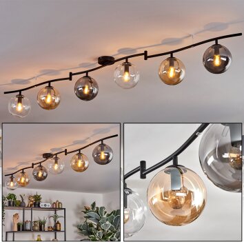 Gastor Plafoniera, Lampada a sfera Ambrato, Chiaro, Grigio fumo, 6-Luci