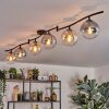 Gastor Plafoniera, Lampada a sfera Ambrato, Chiaro, Grigio fumo, 6-Luci Gastor Plafoniera, Lampada a sfera Ambrato, Chiaro, Grigio fumo, 6-Luci