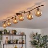 Gastor Plafoniera, Lampada a sfera Ambrato, 6-Luci