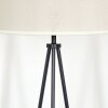 Bassagoda Lampada da terra beige, Bianco, 1-Luce