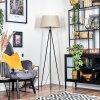 Bassagoda Lampada da terra beige, Bianco, 1-Luce