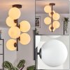 Gastor Plafoniera, Lampada a sfera Trasparente, 6-Luci