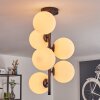 Gastor Plafoniera, Lampada a sfera Trasparente, 6-Luci