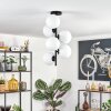 Gastor Plafoniera, Lampada a sfera Trasparente, 6-Luci