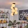 Gastor Plafoniera, Lampada a sfera Trasparente, 6-Luci
