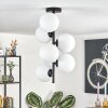 Gastor Plafoniera, Lampada a sfera Trasparente, 6-Luci