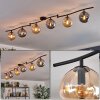 Gastor Plafoniera, Lampada a sfera Ambrato, Grigio fumo, 6-Luci