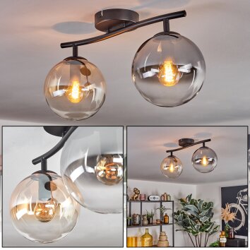 Gastor Plafoniera, Lampada a sfera Ambrato, Chiaro, Grigio fumo, 2-Luci Gastor Plafoniera, Lampada a sfera Ambrato, Chiaro, Grigio fumo, 2-Luci