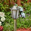 Loria Illuminazione viale Marrone, Oro, Nero, 1-Luce