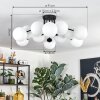 Gastor Plafoniera, Lampada a sfera Bianco, 12-Luci