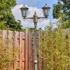 Loria Illuminazione esterna, Lampione multibraccia, Illuminazione viale Marrone, Oro, 2-Luci
