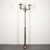 Loria Illuminazione esterna, Lampione multibraccia, Illuminazione viale Marrone, Oro, 2-Luci