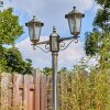 Loria Illuminazione esterna, Lampione multibraccia, Illuminazione viale Marrone, Oro, 2-Luci
