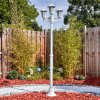 Loria Illuminazione esterna, Lampione multibraccia, Illuminazione viale Bianco, 3-Luci