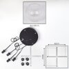 Koyoto Lampadario a sospensione, Lampada a sfera 35 cm Chiaro, 4-Luci