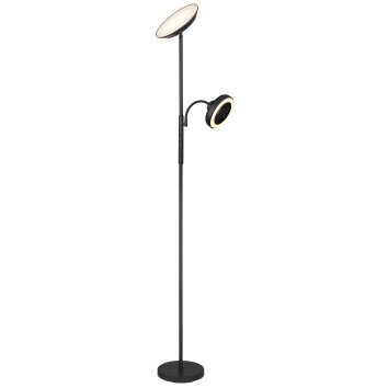 Illuminazione Globo Lighting DAVYD Lampada da terra LED Nero, 1-Luce Illuminazione Globo Lighting DAVYD Lampada da terra LED Nero, 1-Luce