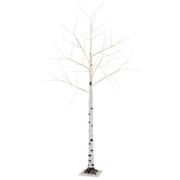 Illuminazione Globo Lighting Birch Illuminazione esterna LED Nero, Bianco, 105-Luci Illuminazione Globo Lighting Birch Illuminazione esterna LED Nero, Bianco, 105-Luci