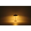 Illuminazione Globo Lighting Brenlor Lampada da tavolo Ottone, 2-Luci