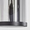 Telhada Illuminazione esterna, Lampada da parete per esterno Nero, 1-Luce, Sensori di movimento